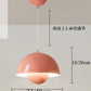 Macaron Mushroom Pendant Lamp