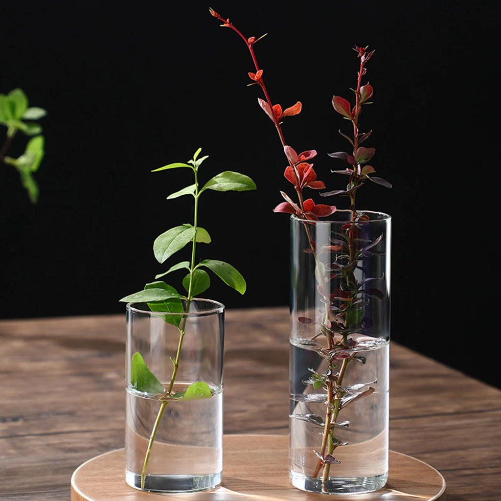 New Transparent Glass Hydroponic Vase Modern Cylinder Flower Centerpiece Clear Vases Use for Floral Wedding Home Decoration