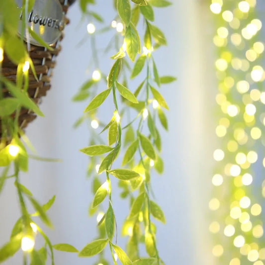 Willow Curtain String Lights